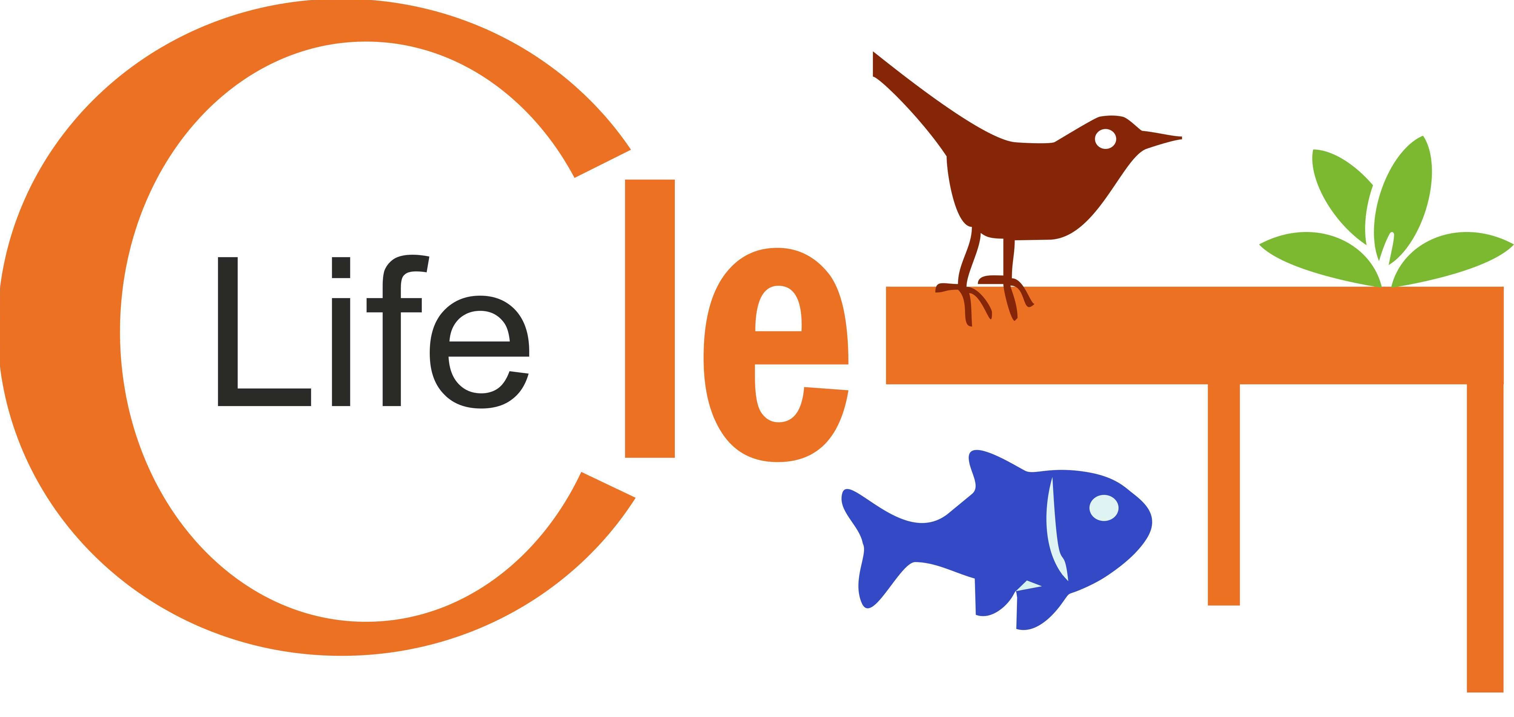 logolifeclef